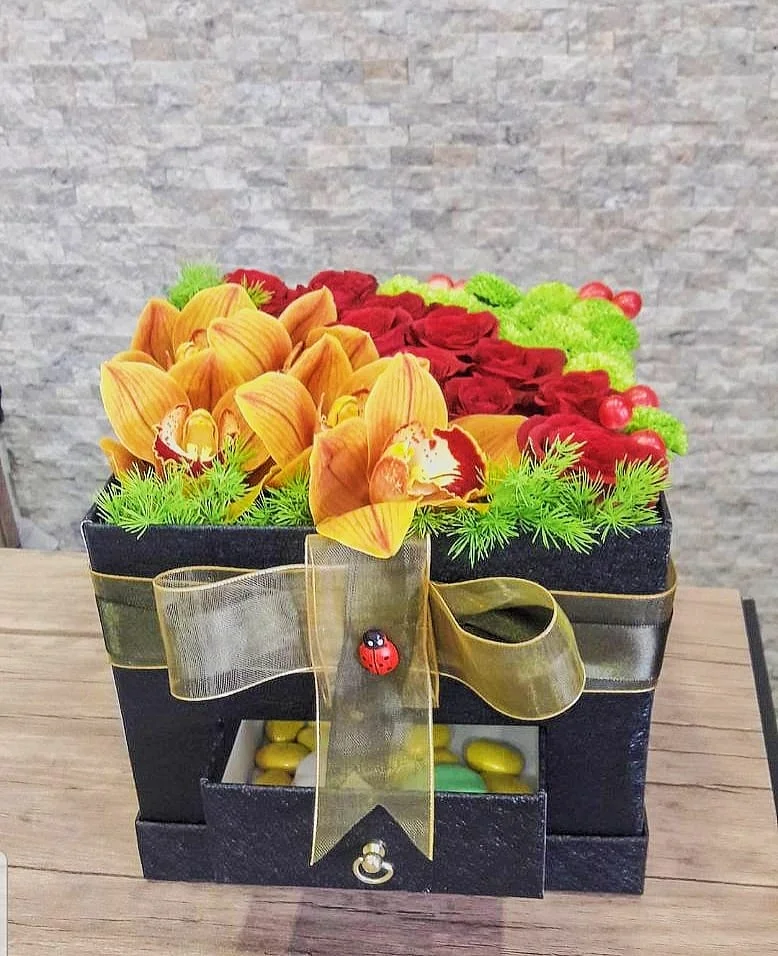 Kare Kutu Aranjman
